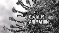 maplestar animation 19 3D Models | Page 1 | STLFinder