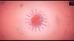 Coronavirus 3D model