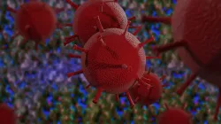 Covid-19 Corona Virus germ 3D model