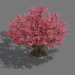 Daughter village plant - center big peach tree 01 3D model