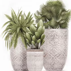 Decorative plants in flower pots for the interior 477 3D model
