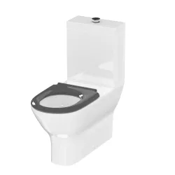 DELTA CARE 800 Back-to-Wall toilet suite 3D model