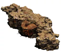 Desert - Monster Camp 07 3D model