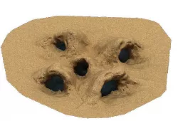 Desert - Monster Nest 4 3D model