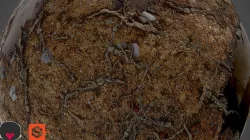 Dirty Ground  Low-poly 3D model