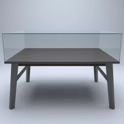 display table 3D model