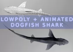 Dogfish Shark Low-poly 3D model