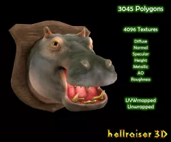 Hippopotamus - Hippo - Head - PBR - Textured Low-poly 3D model