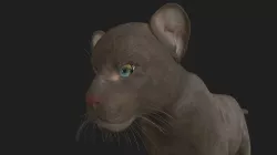 LION-025 Lion Cub 3D model