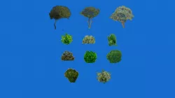 Low poly tree  Texture