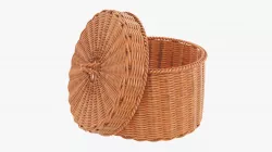 Medium wicker box 3D model