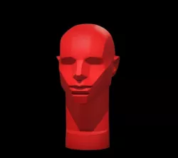 Memorized Head - John Asaro 3D model