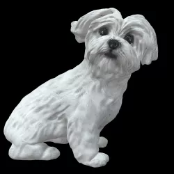 No221 - White Dog 3D model