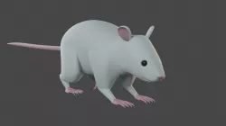 Rat 3d model 3D model