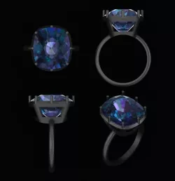 ring  cushon 3D model