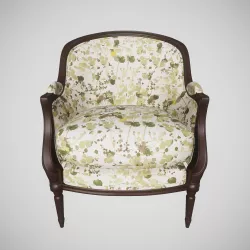 Roche Bobois Brenice Cabria Leaf Fabric 3D model