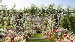 Rose garden-Bundle 08 3D model