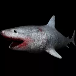 Shark Low Poly For Games Rigged and Texturized BLENDER FILE 3D model