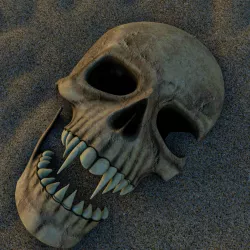 Skull human Low-poly 3D model