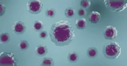Stem cells 3d model  3D model