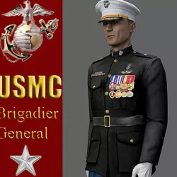US Marine Corps Brigadier General MAX 9 Rigged Low-poly 3D model