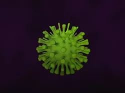 Virus 3D model