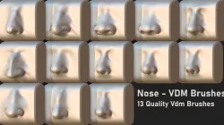 Zbrush VDM - Nose Brush 3D model