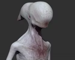 Alien Covenant Neomorph 3D Model 3D model