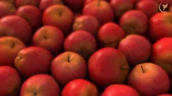 Apple Low-poly 3D model
