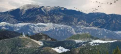 Backdrop Mountains with transparent background and Gift Low-poly 3D model