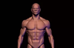 base mesh 3D model