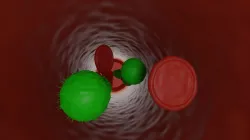 Blood Vessel 3D model