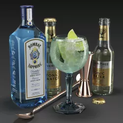 Bombay Sapphire Cocktail Set 3D model