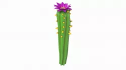 Cartoon cactus  3D model