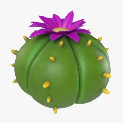 Cartoon cactus v3 Low-poly 3D model