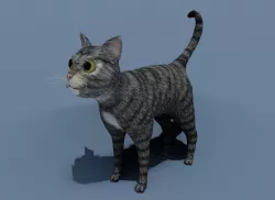 Cartoon Cat Brown Grey Striped 3D Model Low-poly 3D model