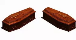 Coffin 001 3D model