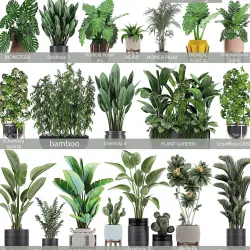 Collection of plants of 20 pieces SET 3 3D model