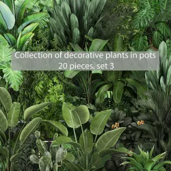 Collection of plants of 20 pieces SET 3 NEW 3D model