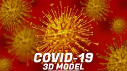 Corona virus 3d model  3D model