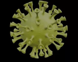 Corona Virus 3d model Low-poly 3D model