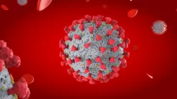 CORONA VIRUS COVID-19 3D model
