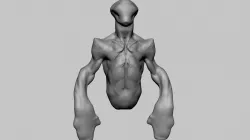 Creature Torso 3D model