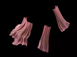 Curtain - yarn 3D model