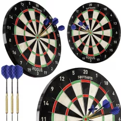 Darts rogue dart board 3D model