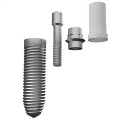 Dental implant 3D model