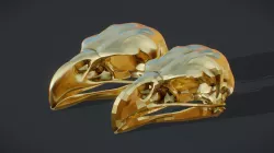 Eagle Skull LowPoly and HighPoly Low-poly 3D model