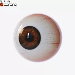 Eyeball 3D model