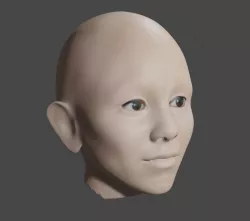 Face Model 3D model