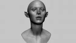 Female Head v9 3D model